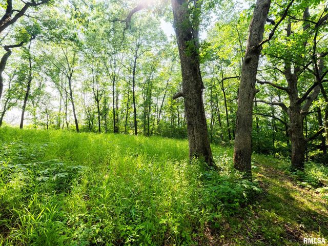 3041 ZION OAKS Road, Pekin, IL 61554