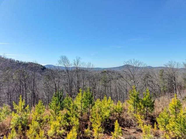 Lot 364 Thirteen Hundred, Blairsville, GA 30512