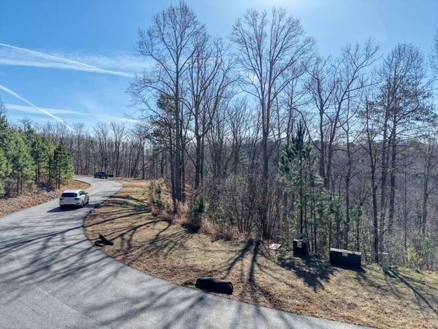 Lot 364 Thirteen Hundred, Blairsville, GA 30512