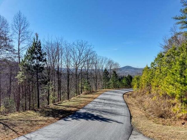 Lot 364 Thirteen Hundred, Blairsville, GA 30512
