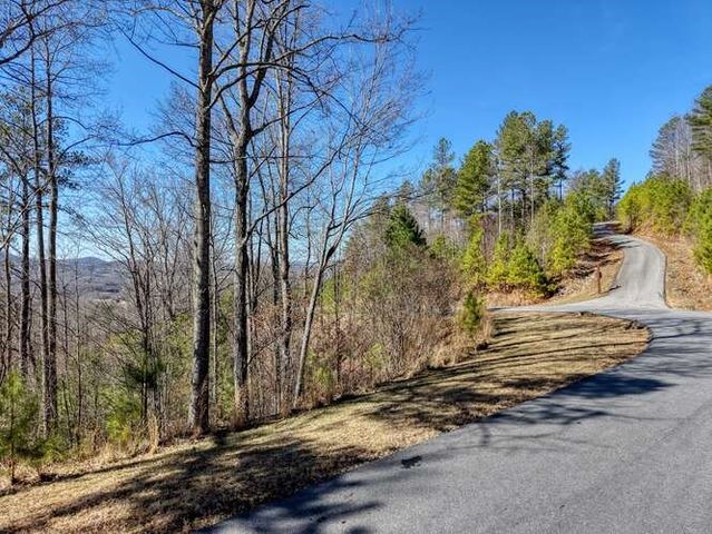 Lot 364 Thirteen Hundred, Blairsville, GA 30512