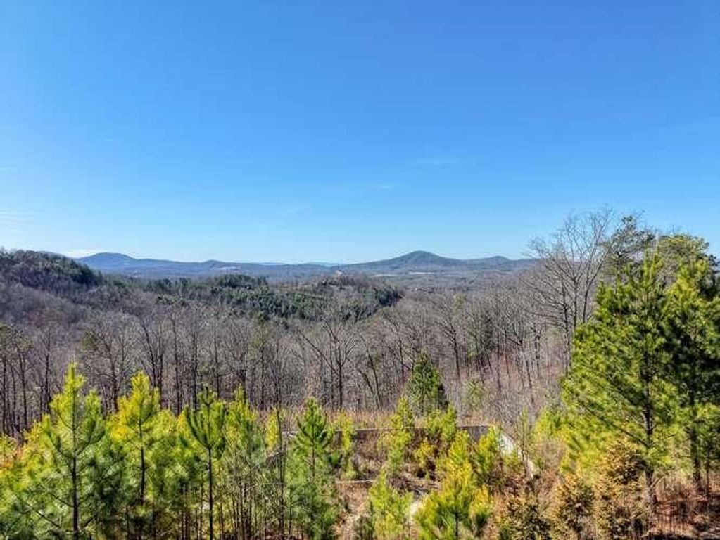 Lot 364 Thirteen Hundred, Blairsville, GA 30512