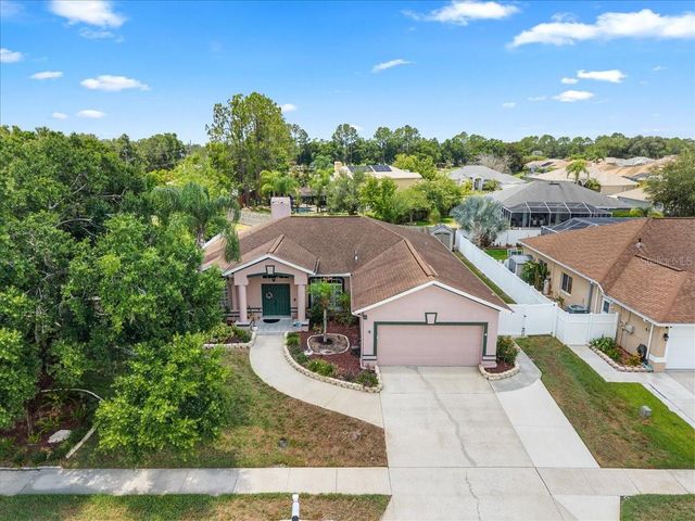 22804 WILLOW LAKES DRIVE, Lutz, FL 33549