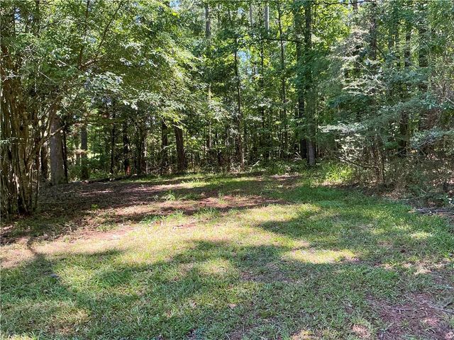1501 Aiken Chafin Lane, Mcdonough, GA 30252