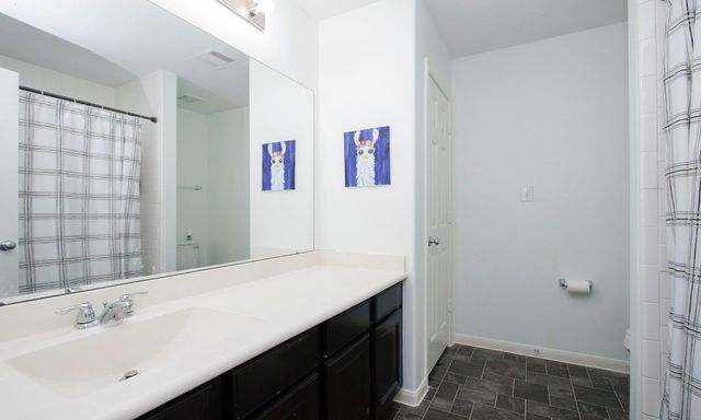 10516 Primo Place, Spring, TX 77379