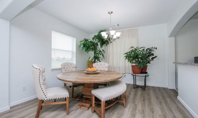 10516 Primo Place, Spring, TX 77379