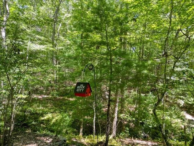 158 Red Oak Forest Lane, Murphy, NC 28906