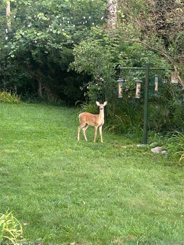 116 S Rogers Street, Northville, MI 48167