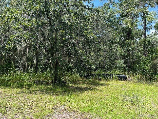 6178 S Gross Avenue, Homosassa, FL 34446