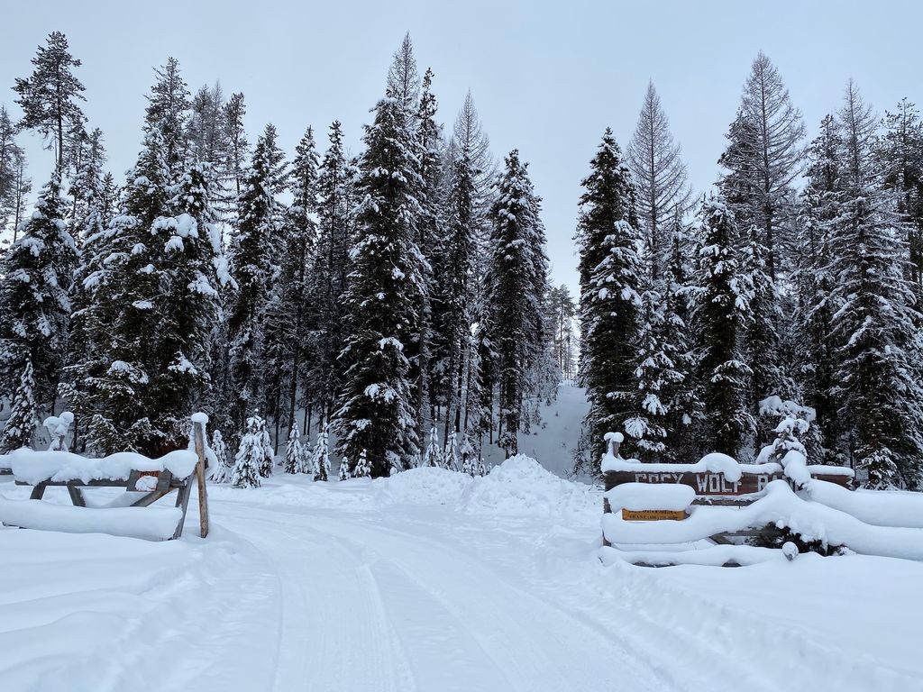 12455 N Placid Lake Road, Seeley Lake, MT 59868 photo 10