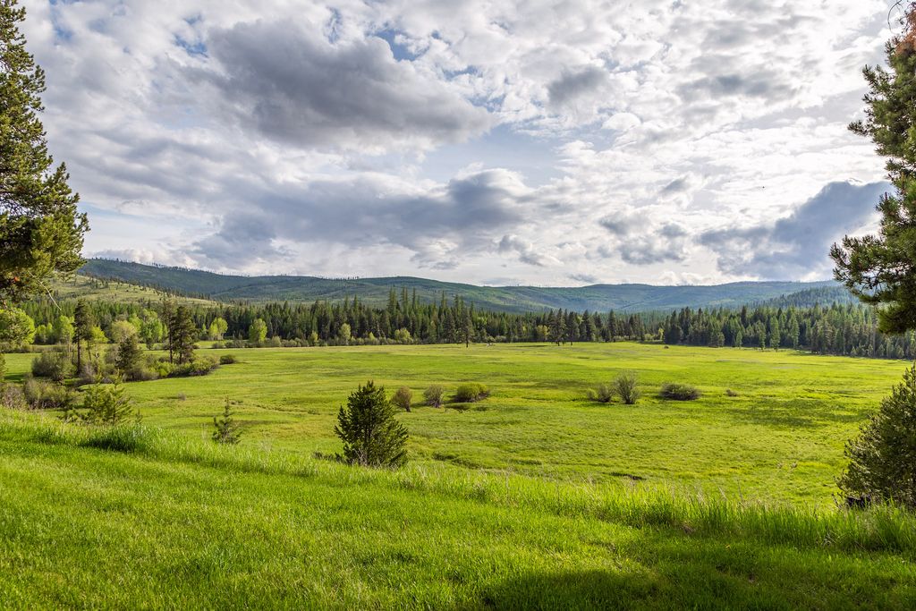 12455 N Placid Lake Road, Seeley Lake, MT 59868 photo 73