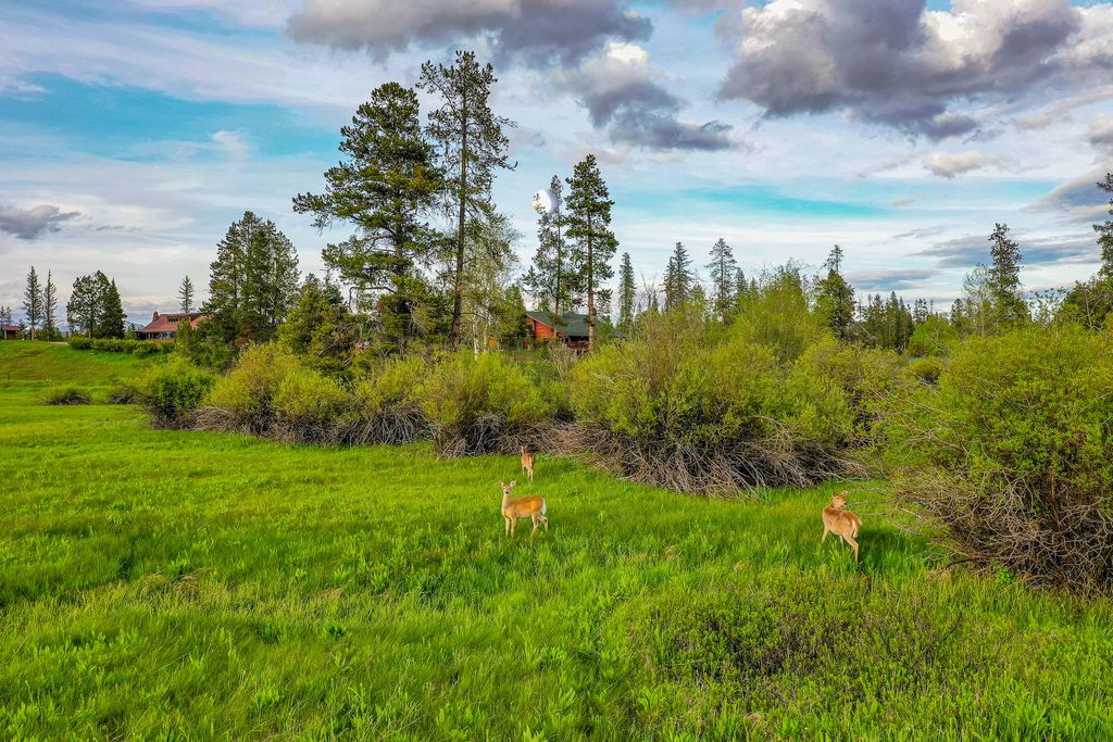 12455 N Placid Lake Road, Seeley Lake, MT 59868 photo 95