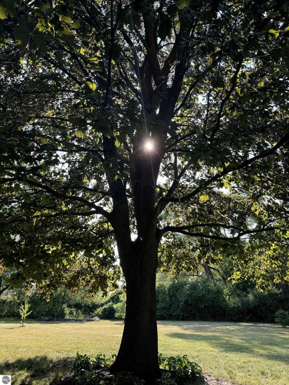 Image 39 of property listing at 1318 E Broadway, Mt Pleasant, MI 48858