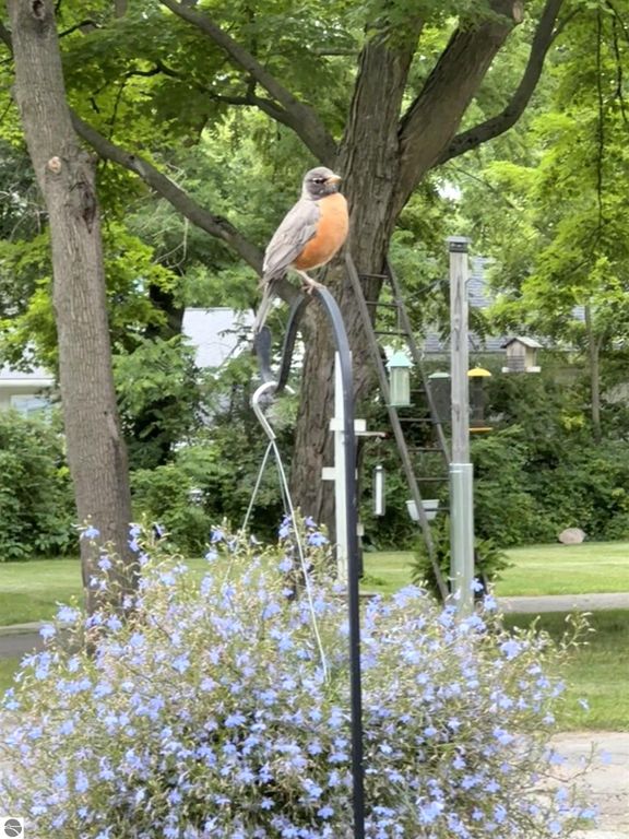 Image 41 of property listing at 1318 E Broadway, Mt Pleasant, MI 48858