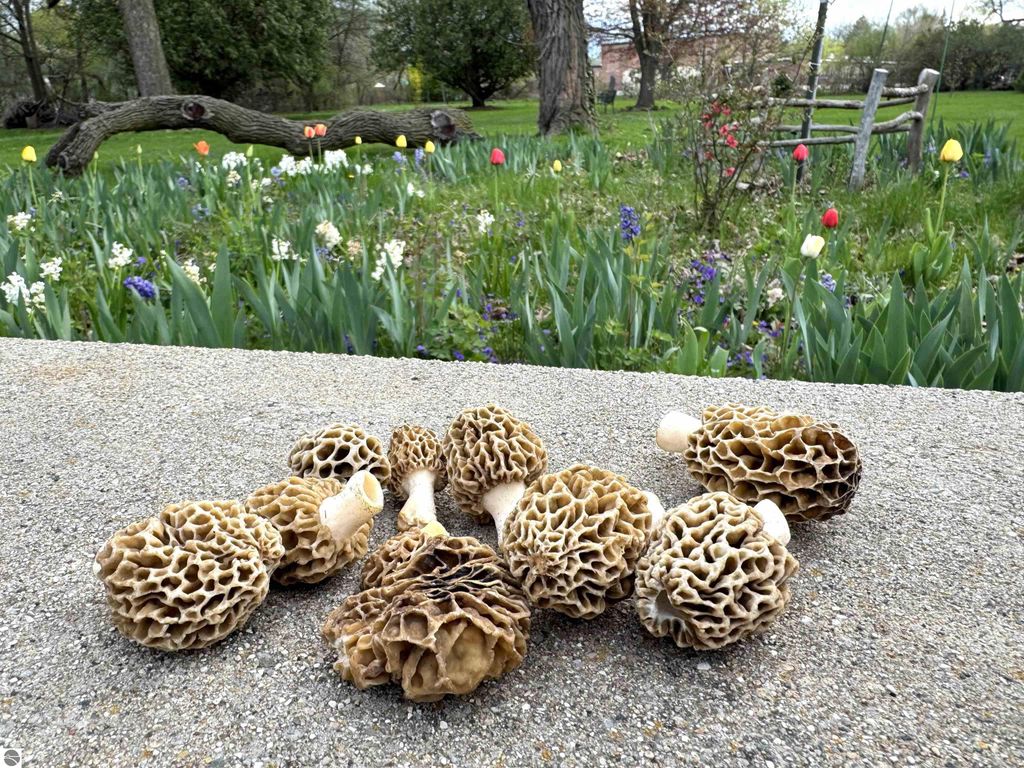 Image 6 of property listing at 1318 E Broadway, Mt Pleasant, MI 48858