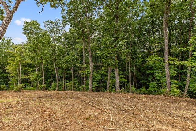 Lot 9 High Summit Drive, Talking Rock, GA 30175