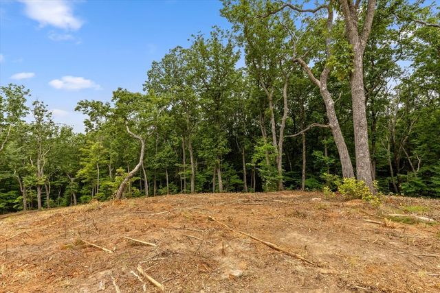 Lot 9 High Summit Drive, Talking Rock, GA 30175