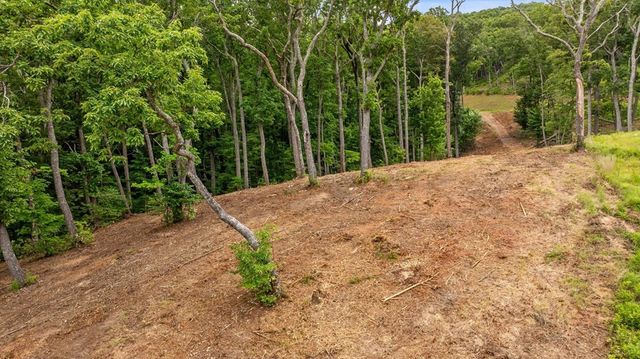 Lot 9 High Summit Drive, Talking Rock, GA 30175