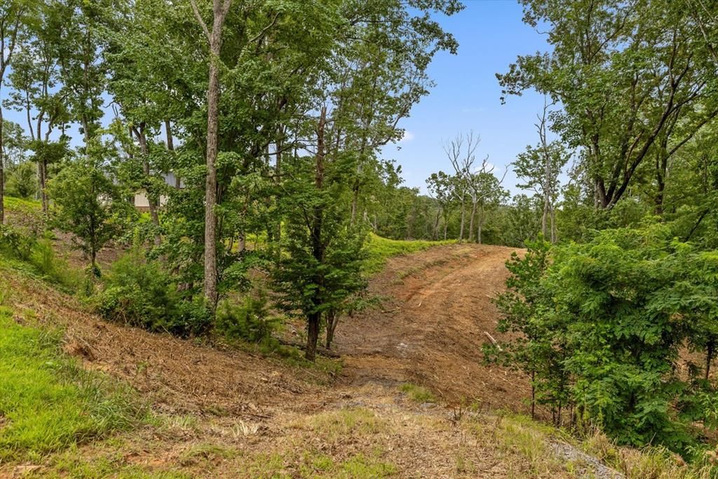 Lot 9 High Summit Drive, Talking Rock, GA 30175