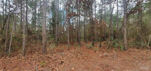 8781 Olivera St, Navarre, FL 32566