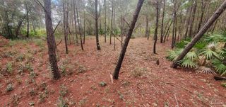 8781 Olivera St, Navarre, FL 32566