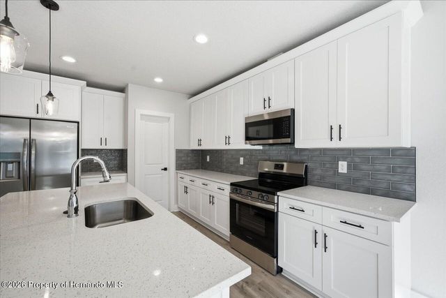 12196 Snow Goose Avenue, Brooksville, FL 34614