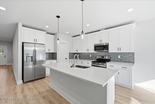 12196 Snow Goose Avenue, Brooksville, FL 34614