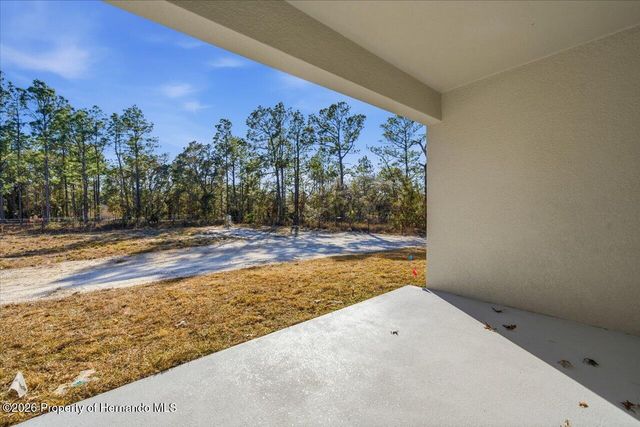 12196 Snow Goose Avenue, Brooksville, FL 34614