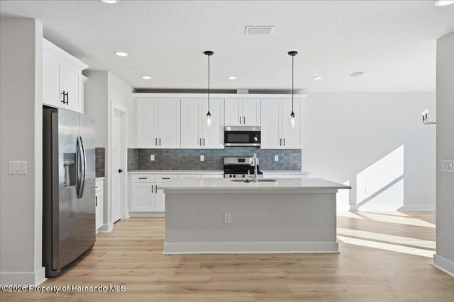 12196 Snow Goose Avenue, Brooksville, FL 34614