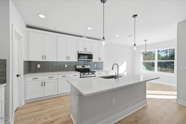 12196 Snow Goose Avenue, Brooksville, FL 34614