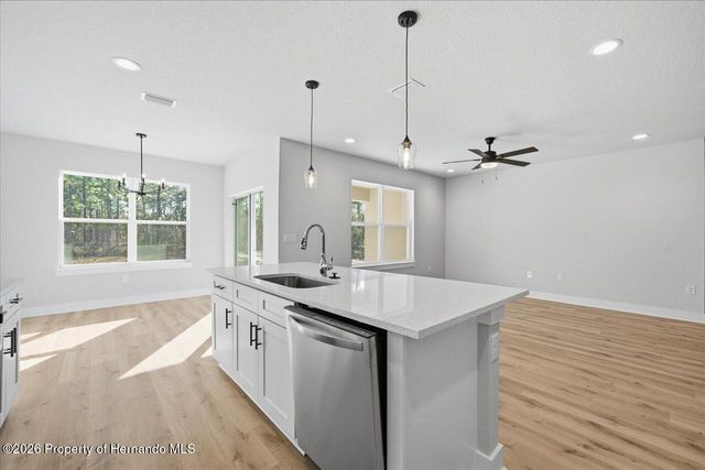 12196 Snow Goose Avenue, Brooksville, FL 34614