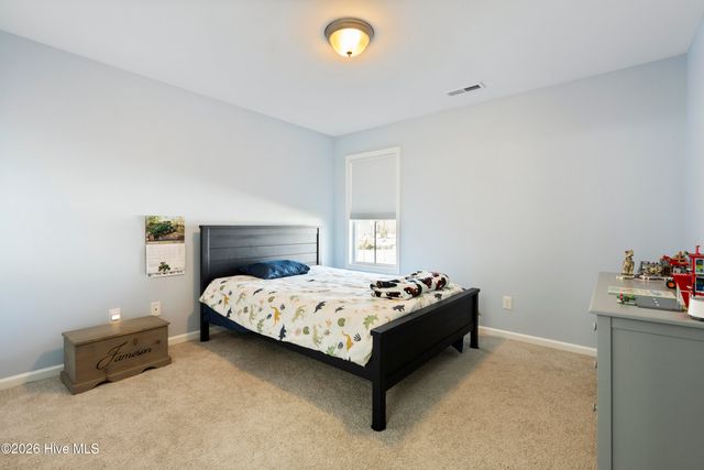 21 Violetear Ridge, Hampstead, NC 28443