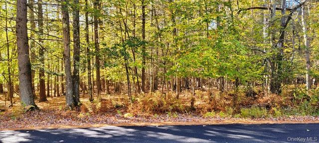 Moscoe Road, Bethel, NY 12786