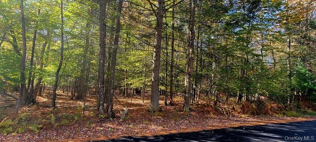 Moscoe Road, Bethel, NY 12786