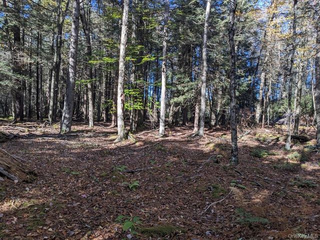 Moscoe Road, Bethel, NY 12786