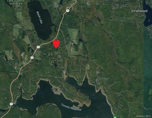 Moscoe Road, Bethel, NY 12786
