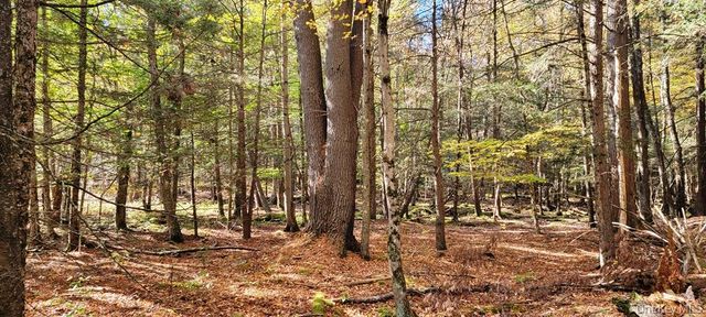 Moscoe Road, Bethel, NY 12786