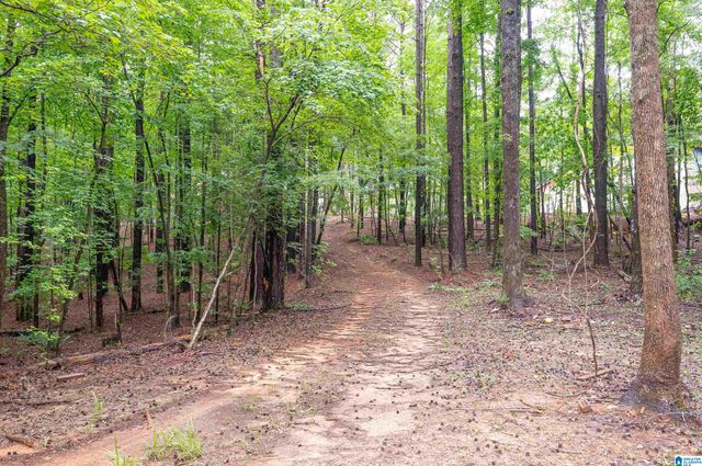 284 NICHOLS ROAD, Chelsea, AL 35043