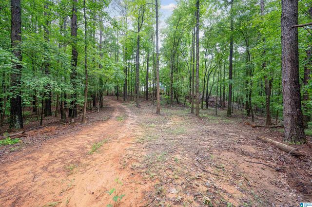 284 NICHOLS ROAD, Chelsea, AL 35043