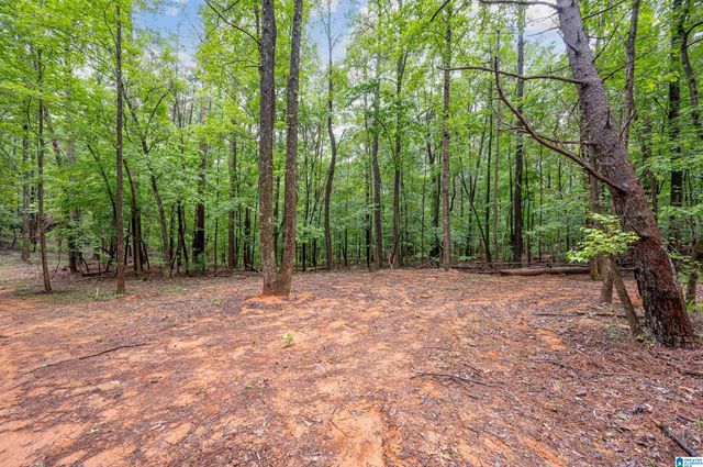 284 NICHOLS ROAD, Chelsea, AL 35043
