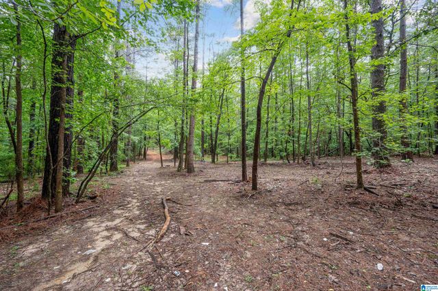 284 NICHOLS ROAD, Chelsea, AL 35043