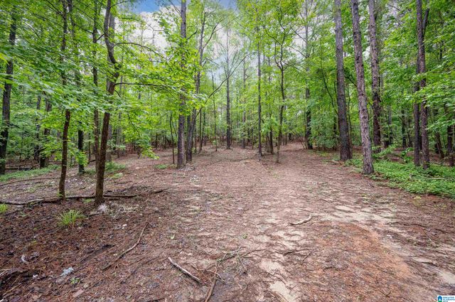 284 NICHOLS ROAD, Chelsea, AL 35043