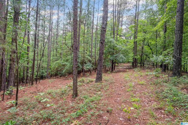 284 NICHOLS ROAD, Chelsea, AL 35043