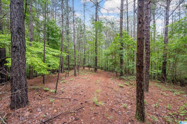 284 NICHOLS ROAD, Chelsea, AL 35043