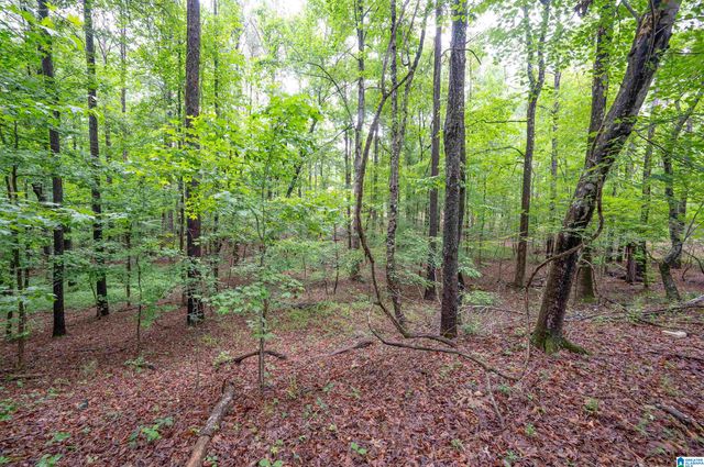 284 NICHOLS ROAD, Chelsea, AL 35043