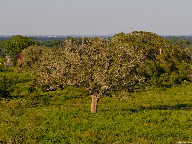 430 WATTS RD, Kingsbury, TX 78638