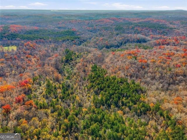 0 Lower Dowda Mill Road, Jasper, GA 30143