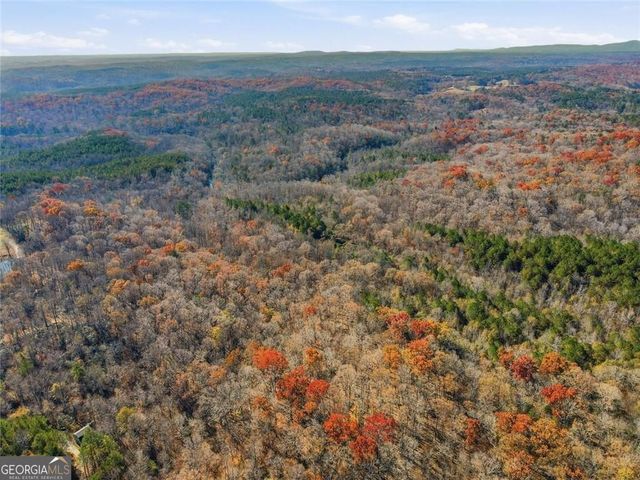 0 Lower Dowda Mill Road, Jasper, GA 30143