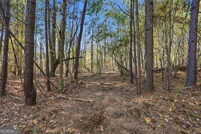 0 Lower Dowda Mill Road, Jasper, GA 30143