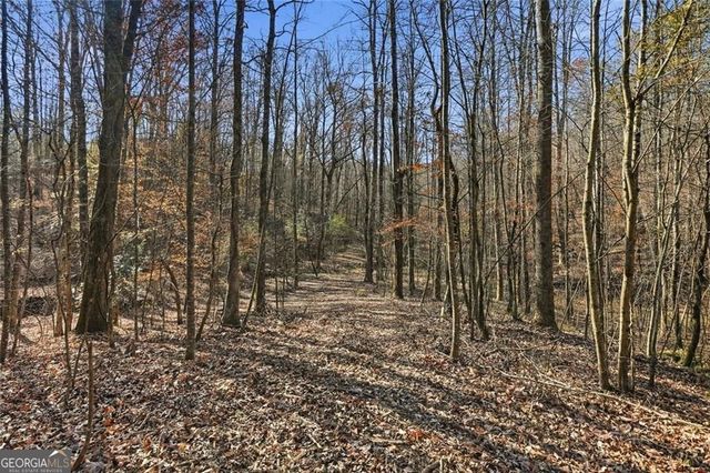 0 Lower Dowda Mill Road, Jasper, GA 30143